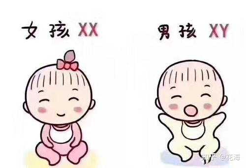 广州供卵首来十月幸孕助孕,广州做供卵试管_iphone6发布会新闻