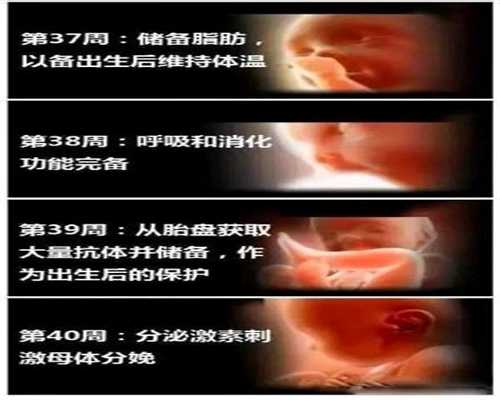 广州代孕双胞胎多少钱_广州代孕产子的医院_广州