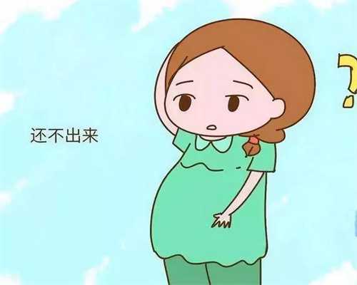 广州供卵试管咨询电话_广州老婆不能生育借腹生子