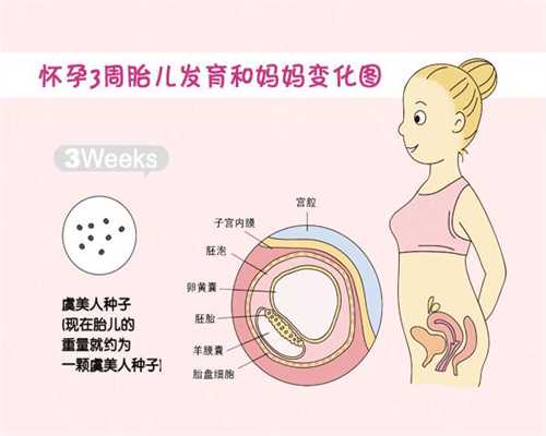 广东哪里有收卵的_成功率最高的助孕机构_试管胚胎着床时间_试管婴儿胚胎着床
