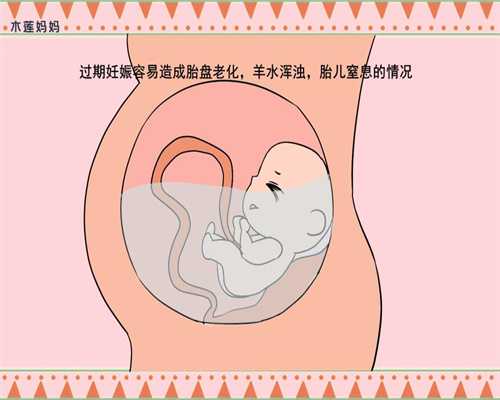 广东供卵提要求_我的治疗卵巢早衰经历_试管龙凤胎婴儿多少钱_泰国试管婴儿一