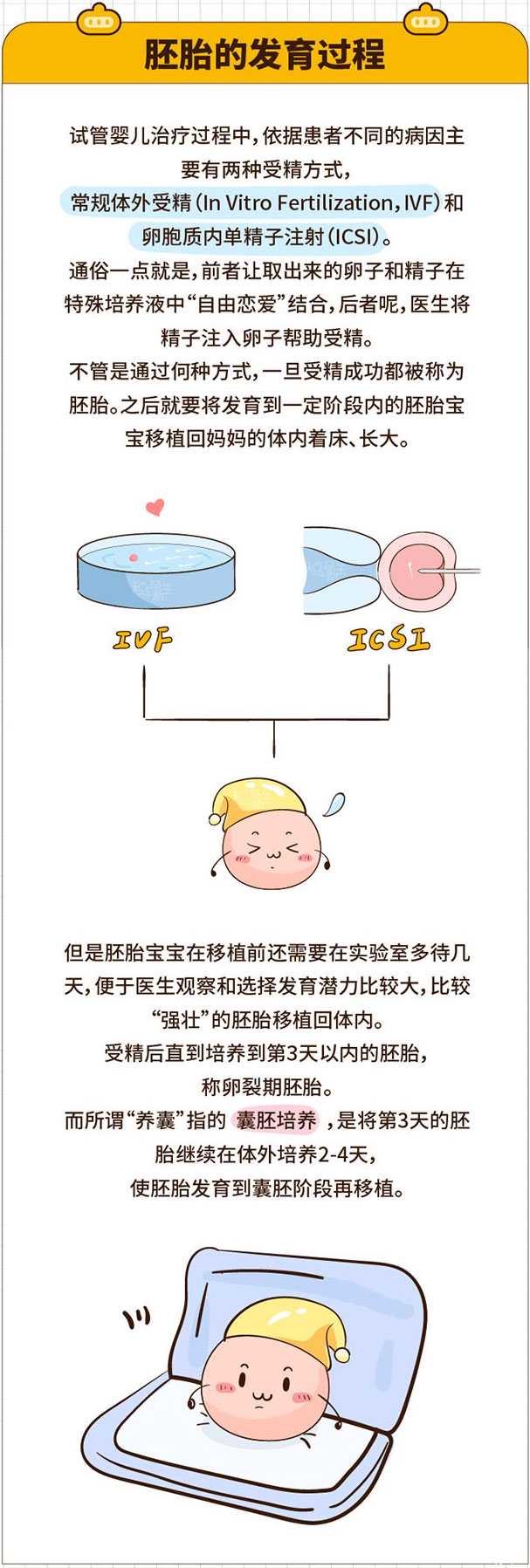 输卵管粘连做试管_切除子宫生孩子_试管婴儿到底要不要养囊?胚胎的发育过程