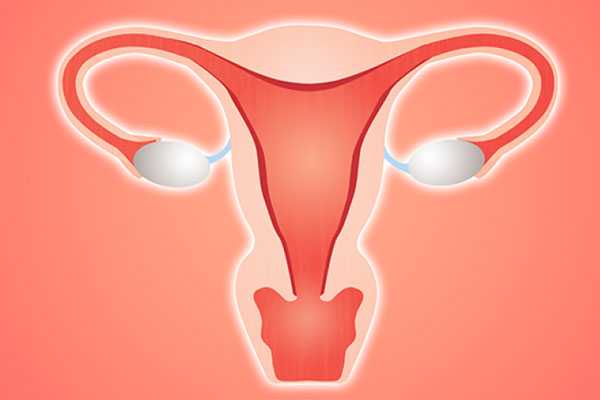 六盘水供卵试管机构要注意哪些_女性子宫畸形可以做试管婴儿吗？子宫畸形有