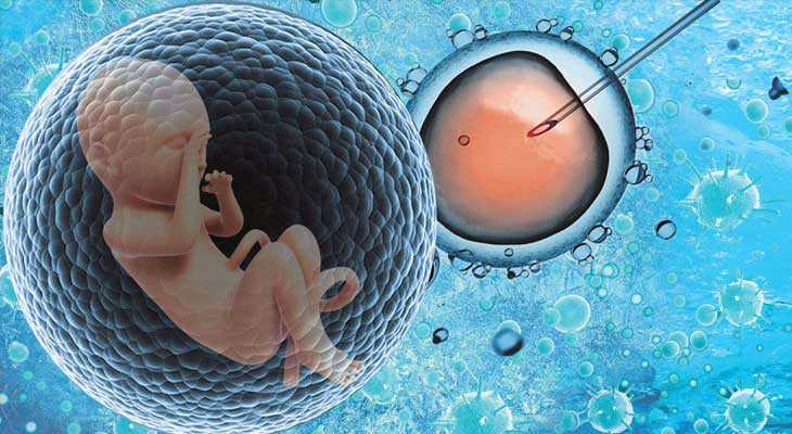 咸阳卵巢早衰供卵助孕_咸阳亲贝医疗供卵_在不孕不育的人群中，子宫肌瘤影响