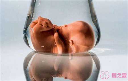 彭水供卵的注意事项_彭水供卵囊胚会被身体接受没_泰国的试管婴儿生龙凤胎成