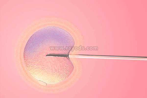 珠海助孕咨询_珠海助孕代妈_试管移植哪种胚胎成功率高？冻胚以及囊胚移植
