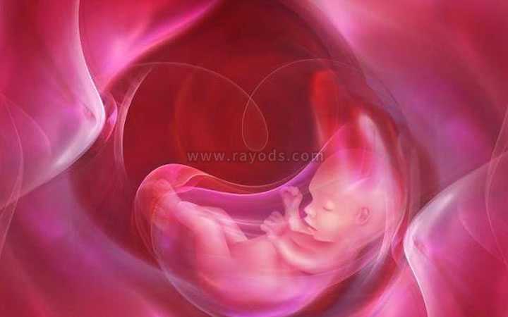 西城代孕套餐价格_平谷试管婴儿移植后几天可以验孕?验孕成功怎么保胎