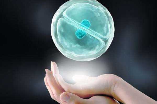 延庆寻个人代孕_想在体内植入两个胚胎，上海中山医院可以做试管吗？成功率