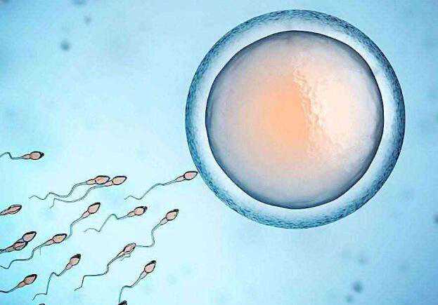 宫寒胚胎不发育_子宫切除孩子死亡_高龄女性只要有排卵就能做试管婴儿吗？