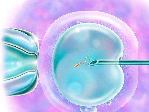 正规的供卵中心_供卵中心排名_六安助孕医院提醒子宫内膜增生能做试管婴儿要