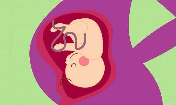 美国试管婴儿胚胎移植前不能同房,整个孕期能同房吗