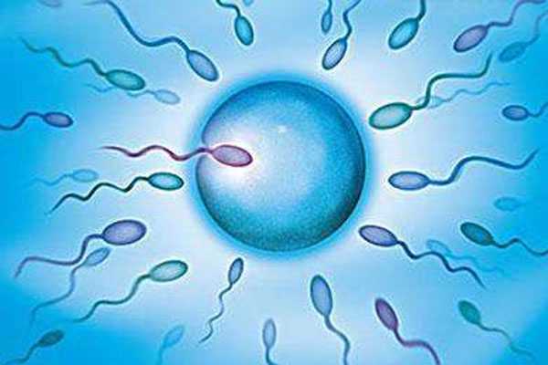 试管婴儿对精子有哪些要求呢？这几点很常见
