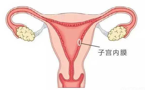 广州助孕找工作 在广州做试管婴儿后胚胎着床了有什么感觉 ‘胎儿做四维生长